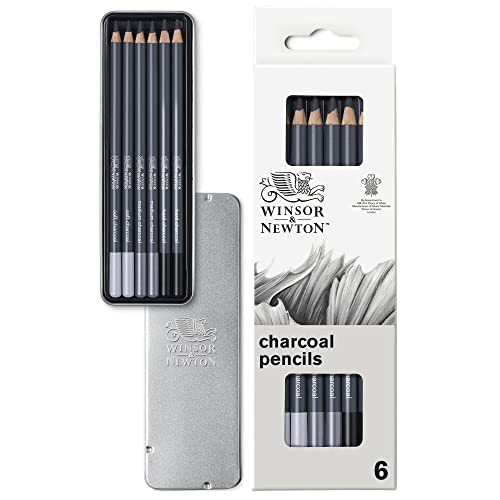 Winsor & Newton Studio Collection - Set de 6 carboncillos surtidos