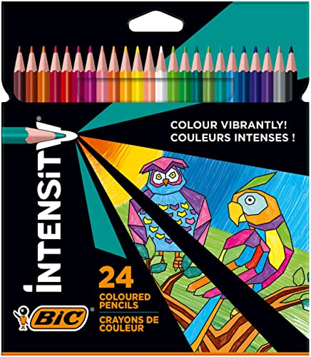 Lápices de colores BIC Intensity, crayones triangulares, lápices de colores para pintar en 24 colores, en estuche de cartón, plomo irrompible y sin madera (el paquete puede variar)
